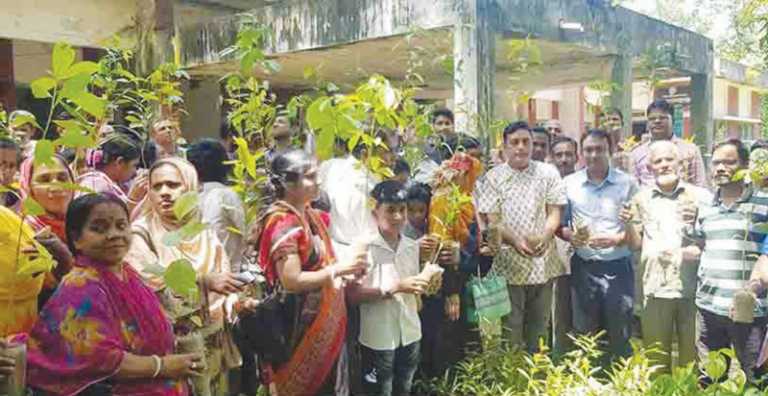 উপজেলার বিভিন্ন স্থানে বৃক্ষরোপণ কর্মসূচি পালন অব্যাহত রয়েছে