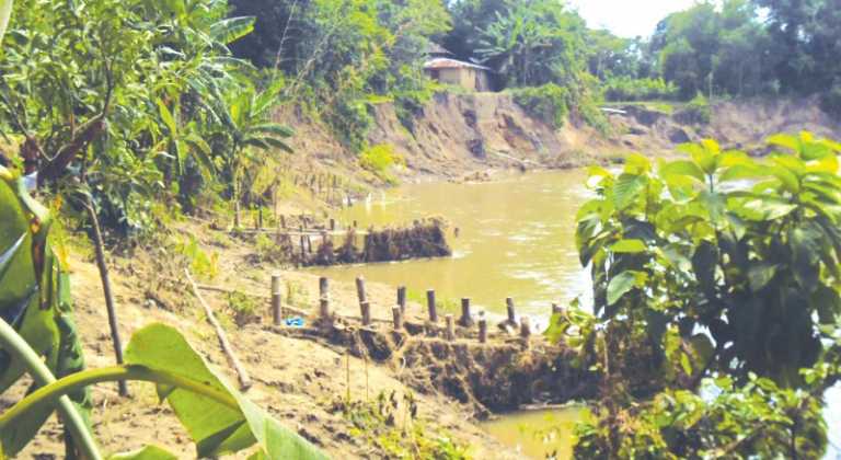 টংকাবতীর ভাঙনে বসতবাড়ি শিক্ষা প্রতিষ্ঠান ঝুঁকিতে