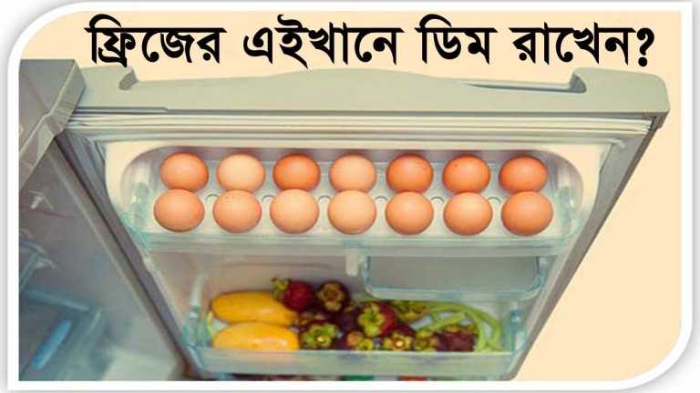 ডিম ফ্রিজে রাখলে যেসব মারাত্মক ক্ষতি হয় শরীরের ।