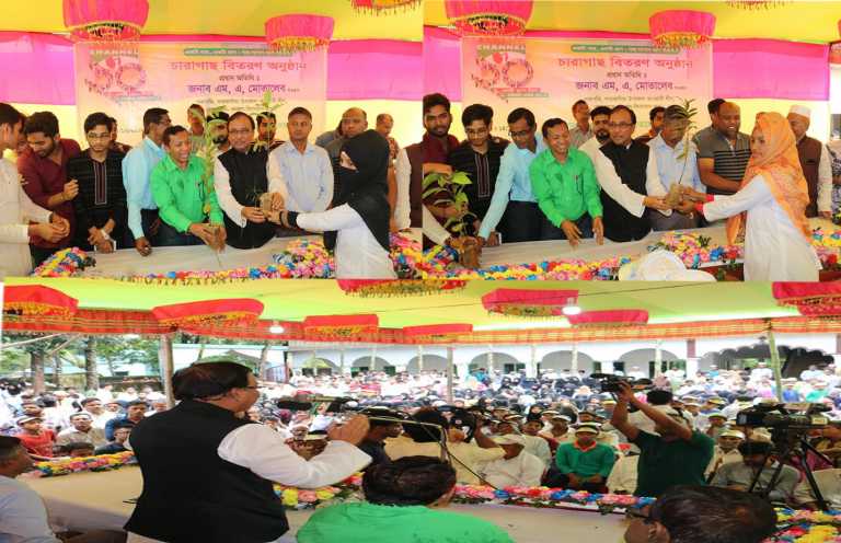 চ্যানেল আই এর উদ্যেগে সাতকানিয়া উপজেলায় চারা বিতরণ।