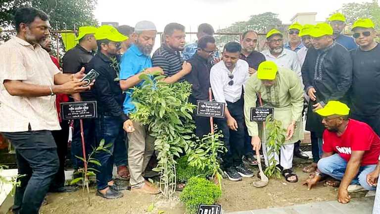 বৃক্ষরোপণ কর্মসূচির আয়োজন কৃষক দলের
