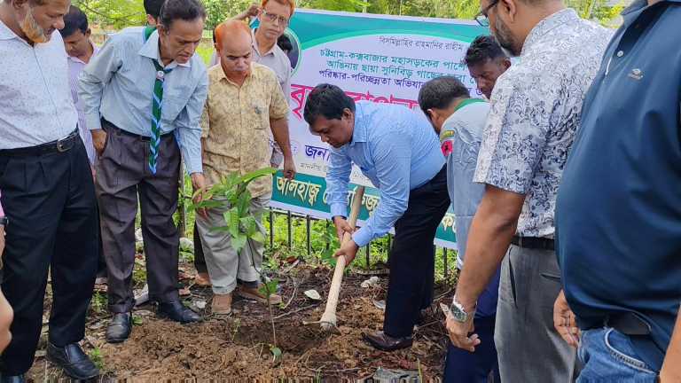 লোহাগাড়ায় মোস্তাফিজুর রহমান কলেজে বৃক্ষরোপণ কর্মসূচি